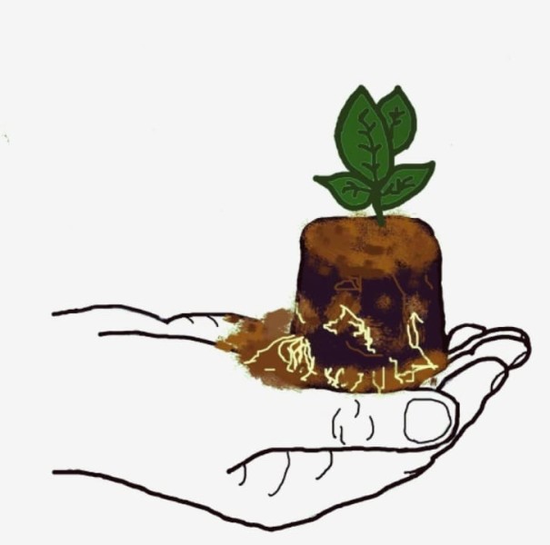 SIL Embalagens Sustentáveis